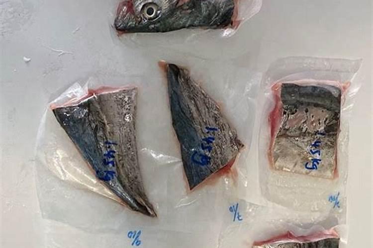 马鲛鱼的营养价值有哪些