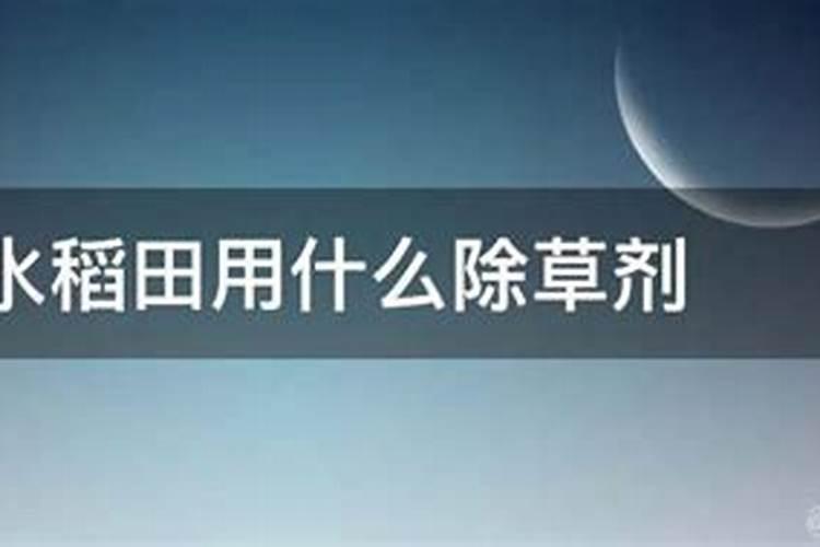 水稻怎么施肥才能高产