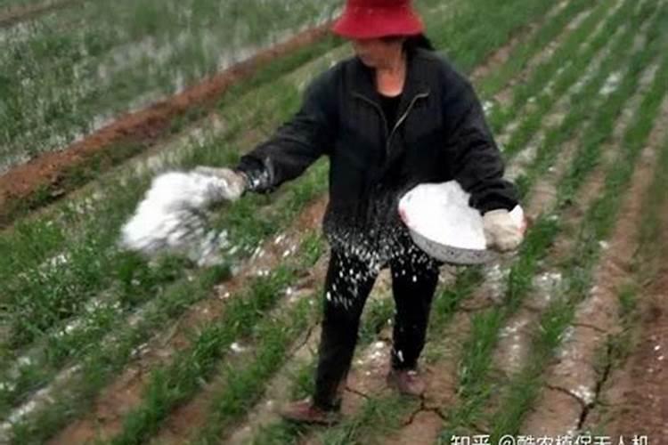 用肥过量使用的危害,氮肥过量的防止办法