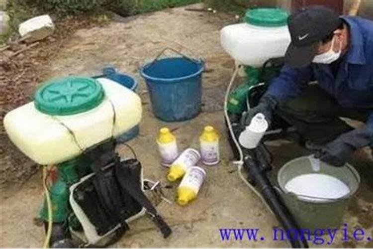 叶面肥与农药的混用顺序要注意哪些