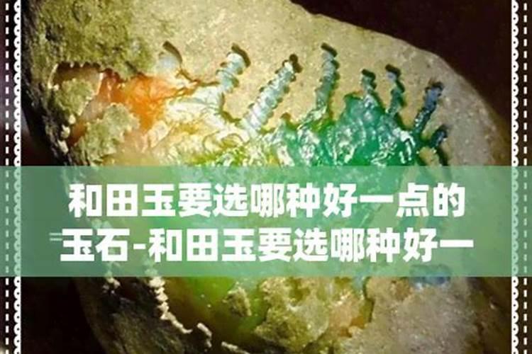 玉米追肥硝酸铵钙和尿素哪个好