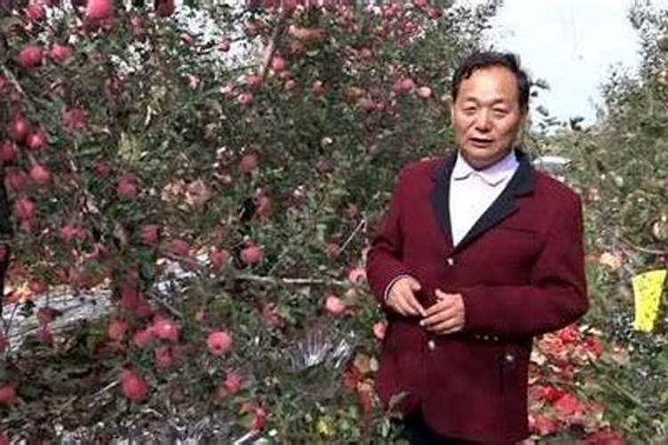 苹果树在花期能喷硼肥吗？