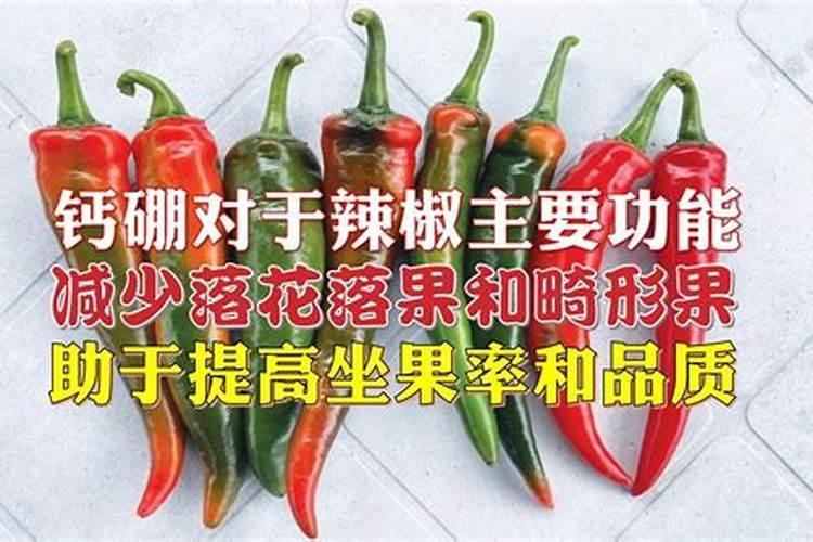 辣椒用什么肥料才能高产种辣椒用什么肥料高产
