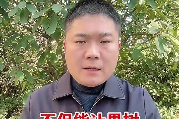 果树适用的叶面肥配方是怎样构成的