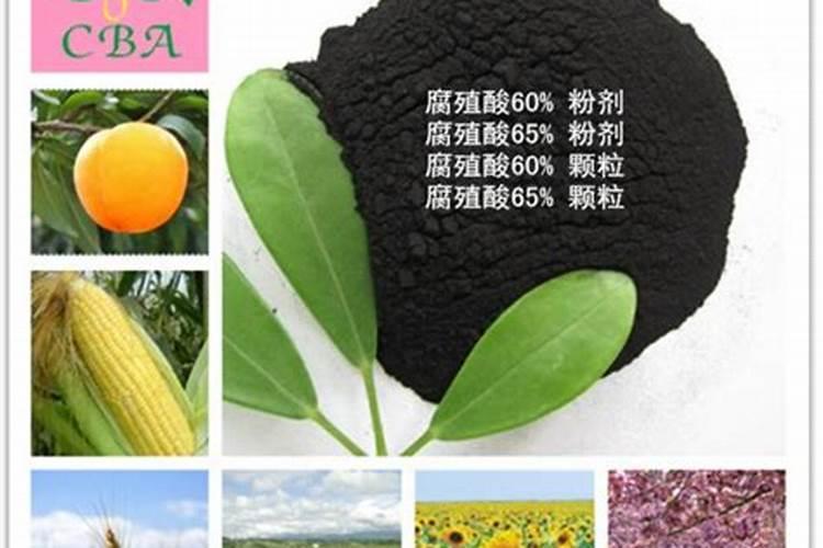 有机肥腐熟剂功效特点
