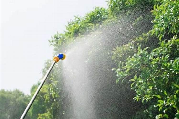 种植红枣的水肥管理技术有哪些 养殖方法总结