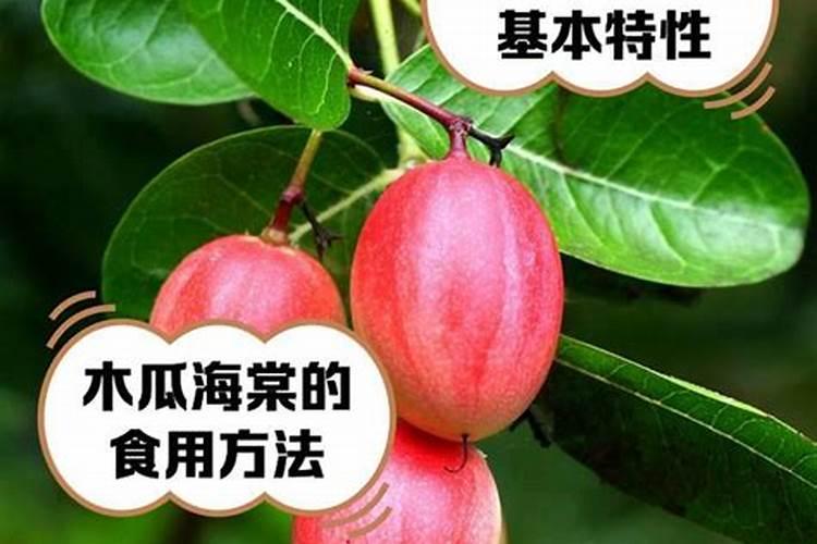 木瓜海棠花的养殖方法