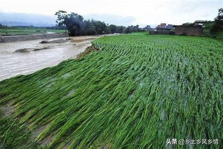 下雨时可以增加土壤中的什么