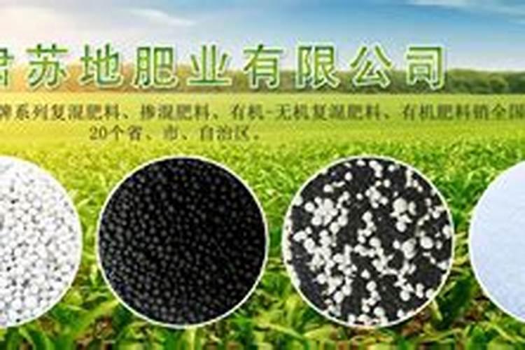 芸苔素可以灌根吗