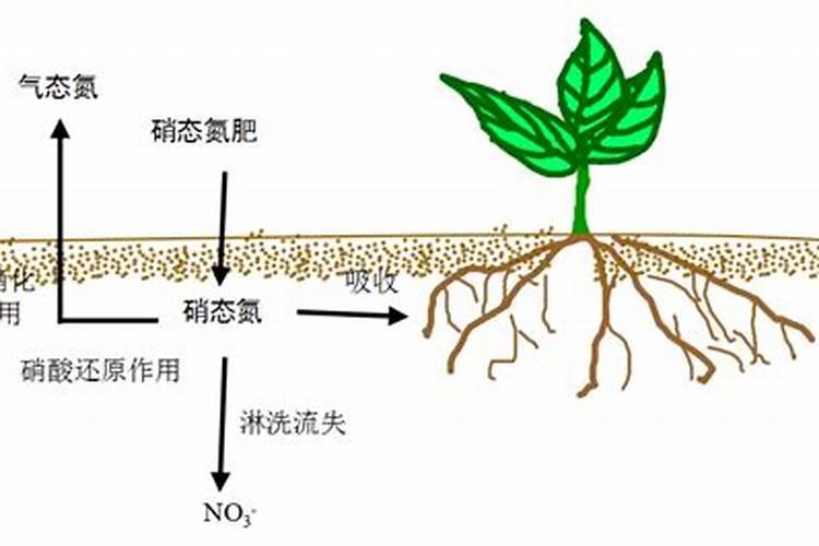 苏打水十大排名