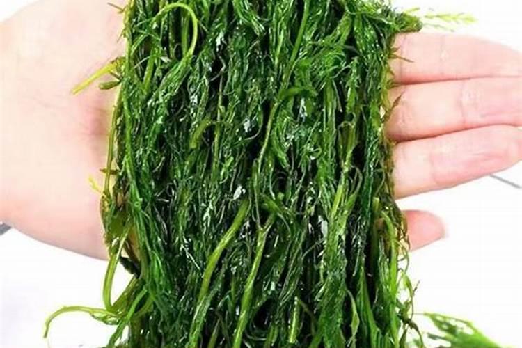 海藻肥属于什么肥料 附使用方法