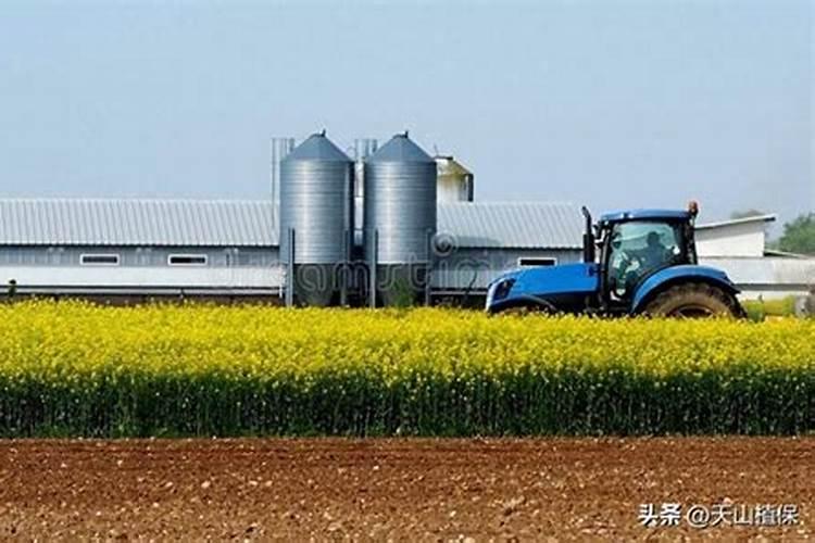 常见的氮肥、磷肥、钾肥、复合肥有哪些……