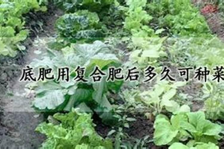 大量元素和微量元素的划分依据