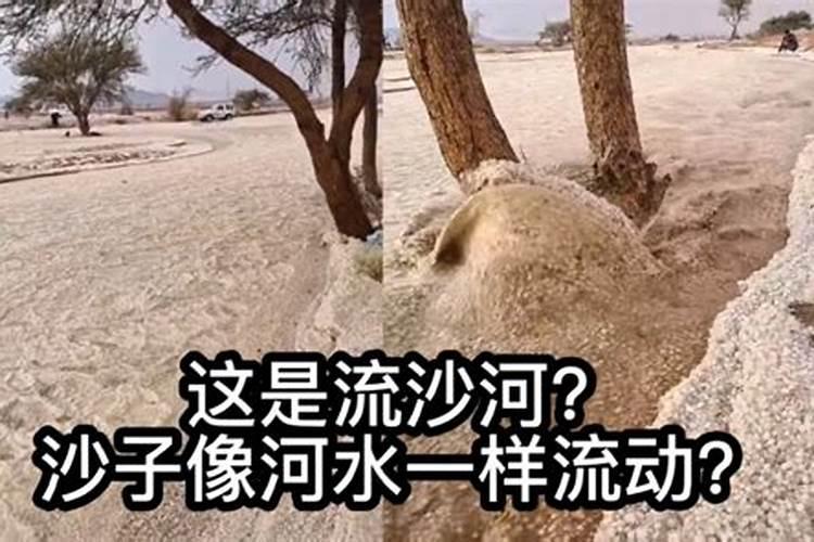 多肉上有一层像白雾的东西是什么