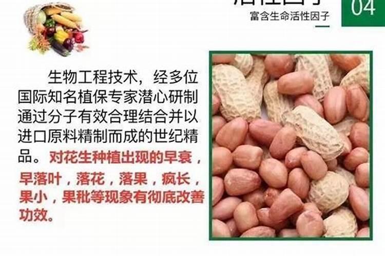 花生叶面肥用什么高产 什么时候施肥好