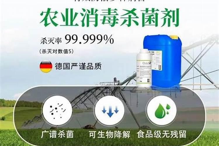 土壤消毒简单用什么药
