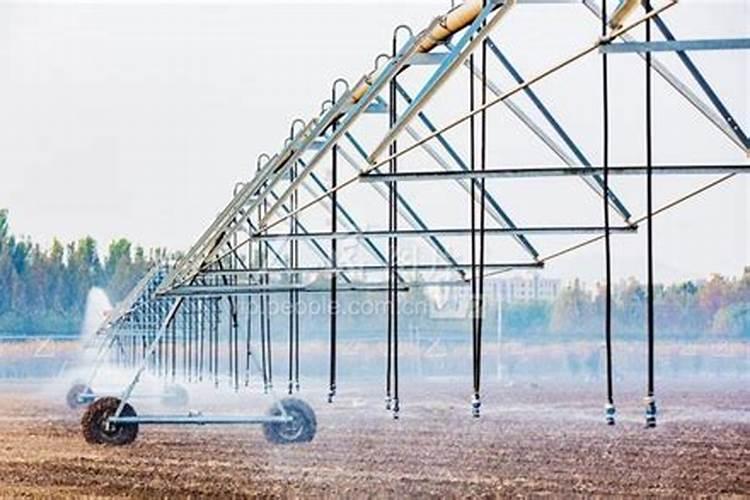 用什么茶叶做奶茶最好喝,不同茶叶成本和口感区别在哪