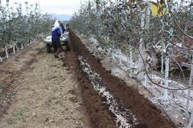 硝酸铵到底是何方神圣？与TNT是什么关系？