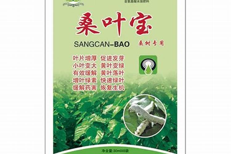 栽种八角想要增产增收,在施肥方面都有哪些注意事项？