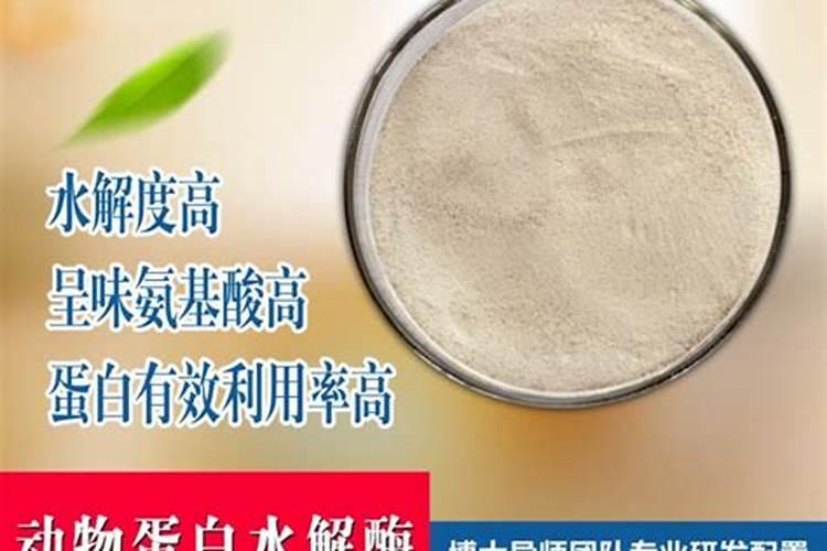 鱼胶原蛋白的作用与功效 使用鱼胶原蛋白的四大好处