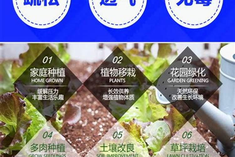 爆盆的多肉怎么施肥(多肉爆盆用什么肥)