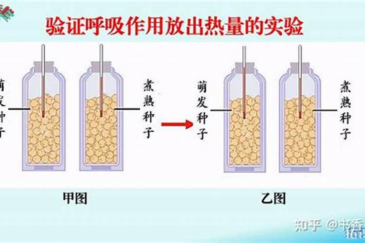 磷肥对植物的作用