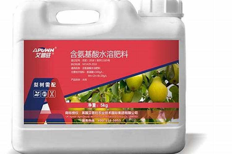 梨树铁头病怎么防治？专家分析分析!