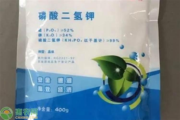 磷酸二氢钾可以灌根吗