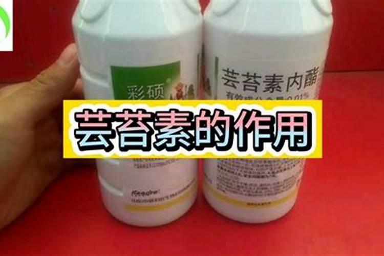 保花保果用药