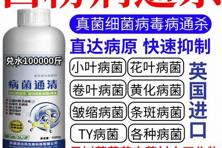 各位专家什么农药是针对细菌性？什么农药是针对真菌性的？