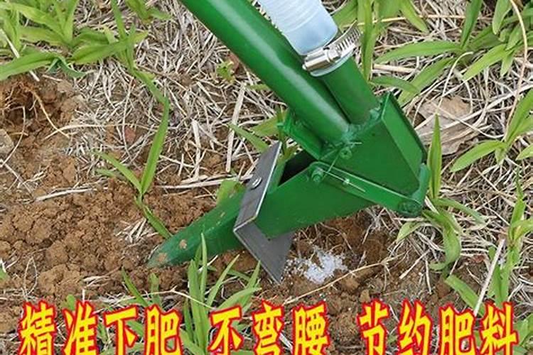 玉米长棒子时上啥肥料？