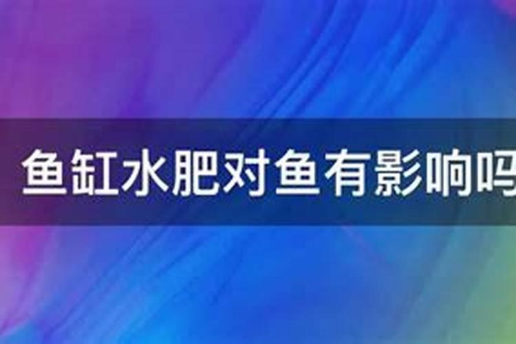 荷花施肥对鱼的影响:真相揭秘