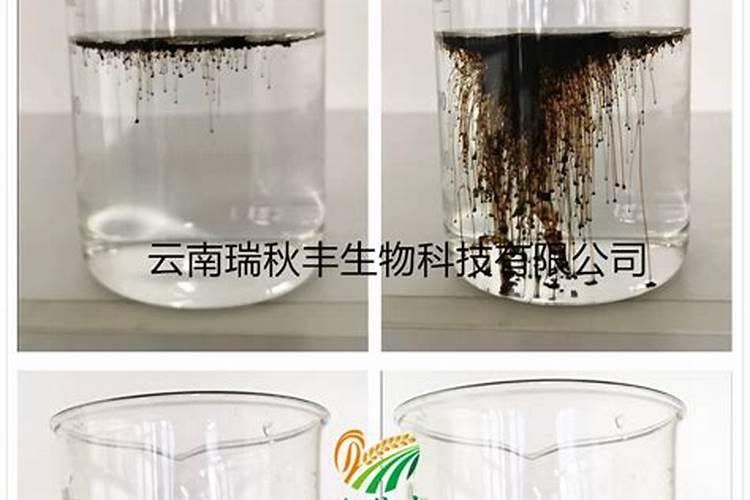 腐殖酸多少钱一斤