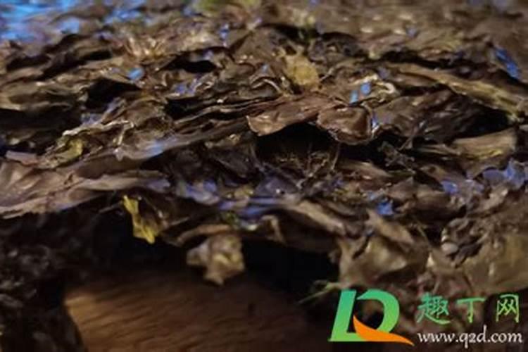 绿萝施肥方法,用什么肥好