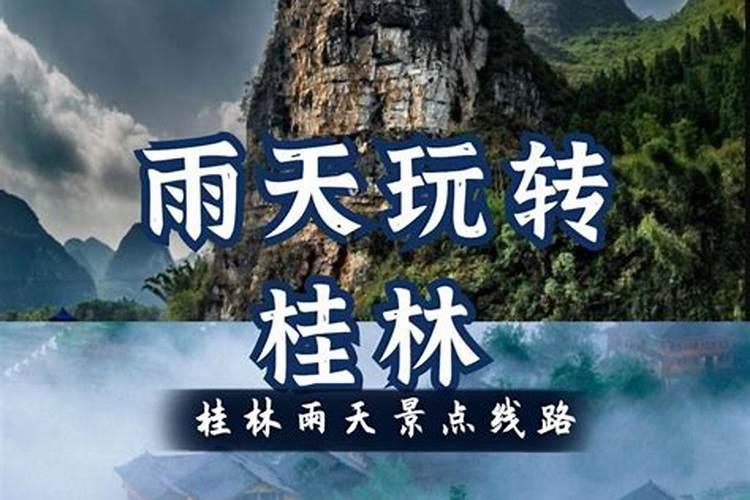 杏树涝了怎么补救