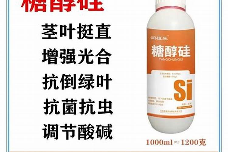 硅肥营养液怎么用 液体硅肥的使用方法
