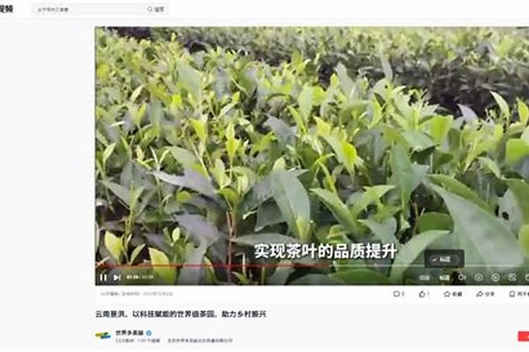 【徽茶·百科】茶园施肥的四大方法