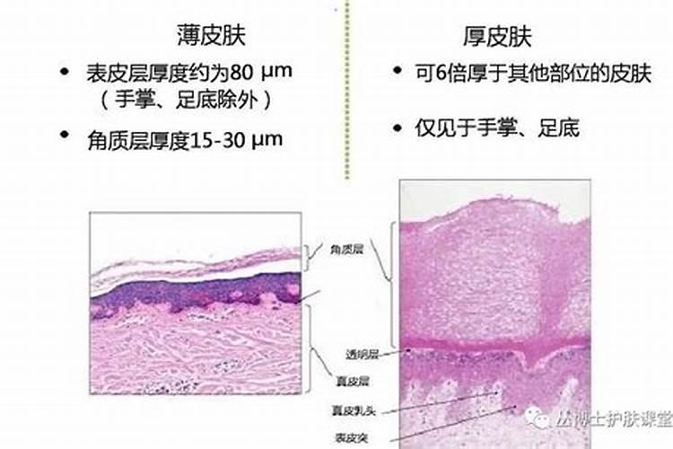 如何自制生根剂