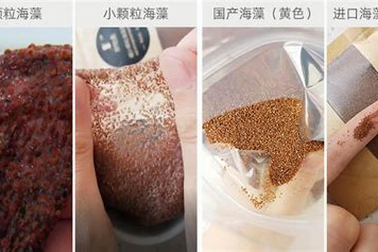 揭秘:海藻有机肥到底好不好？