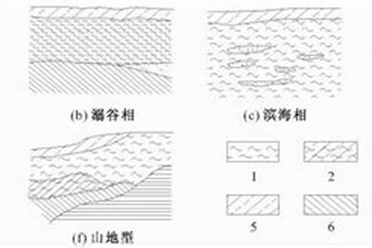 氮肥是什么肥
