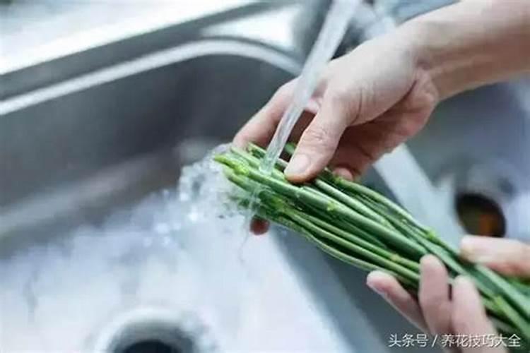 树叶可以做花肥吗