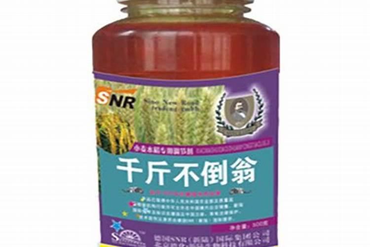 小麦喜迎丰收年!4亩地卖8143元,除去种植成本,净利润有多少？
