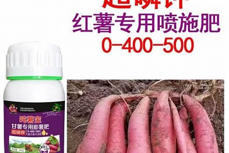 种红薯喷什么叶面肥可以增产？有推荐的吗？