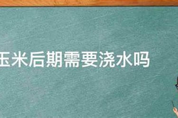 玉米需不需要通过冲施的方式施加钾肥？