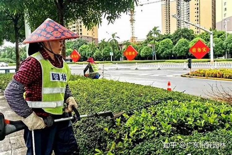 施肥和养护园林苗木时应注意什么？