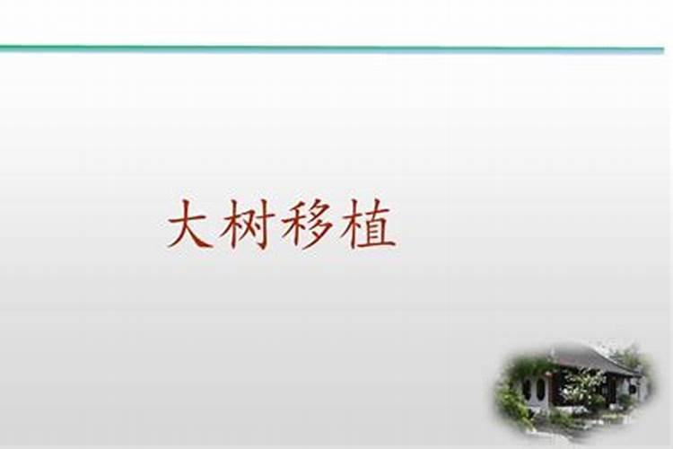 施肥和养护园林苗木时应注意什么？
