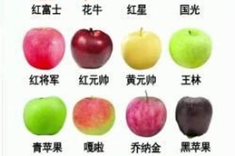 西瓜追肥用什么肥料 注意事项有哪些