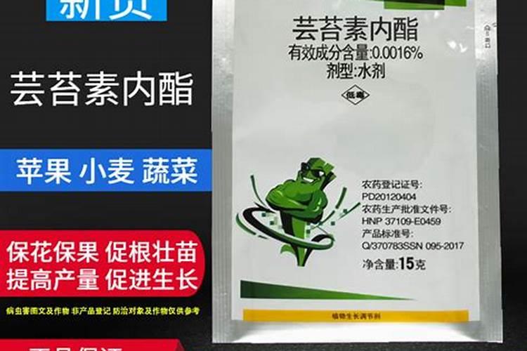 各位专家您好,看看我的地瓜怎样回事？