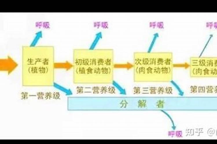农业生态系统与自然生态系统的主要区别有哪些？