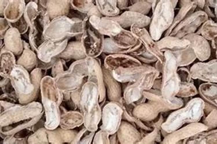 花生壳不发酵掺土直接能用吗